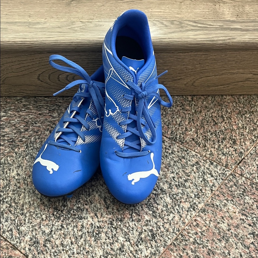 Puma Blue Athletic Sneakers